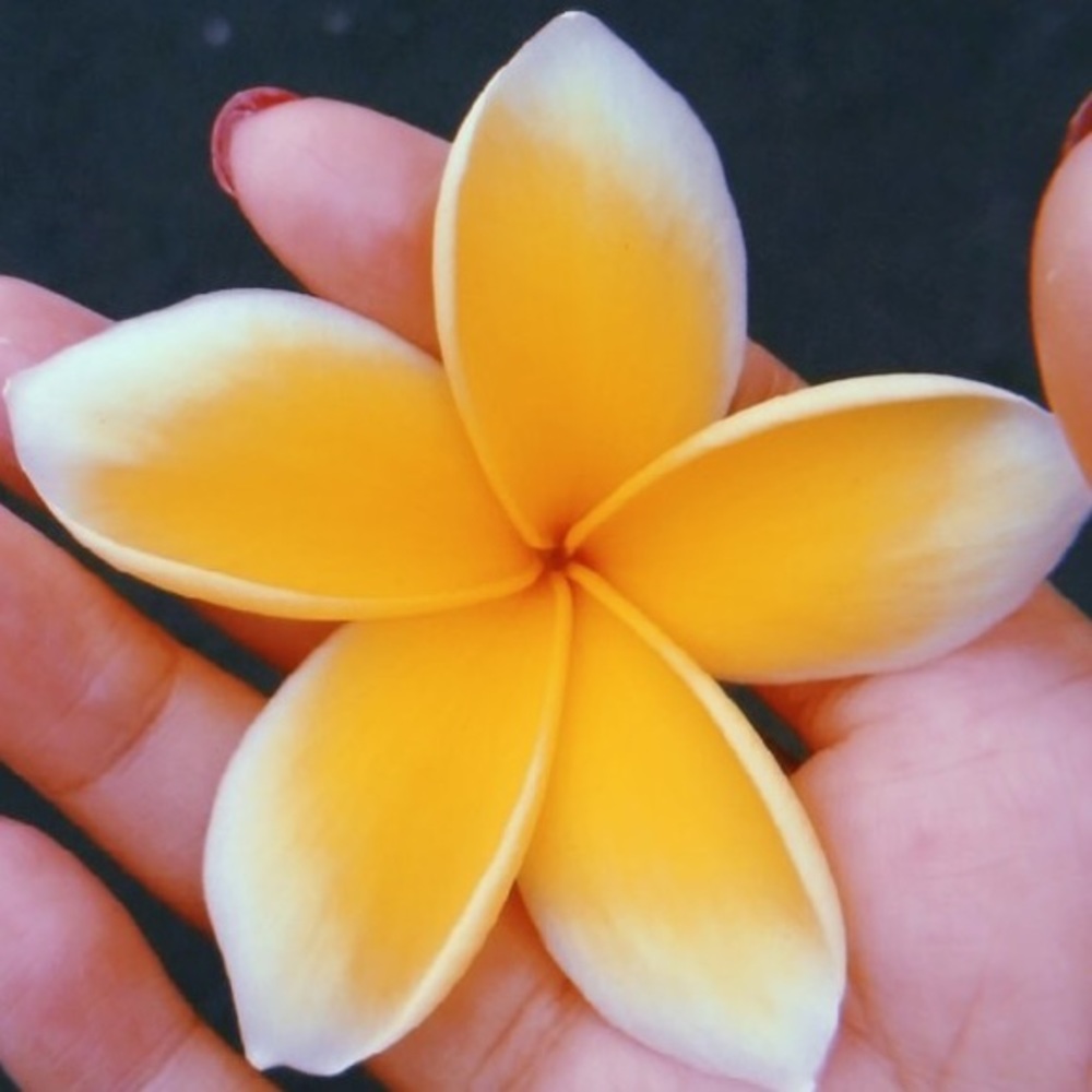 Aloha, I’m Jana!